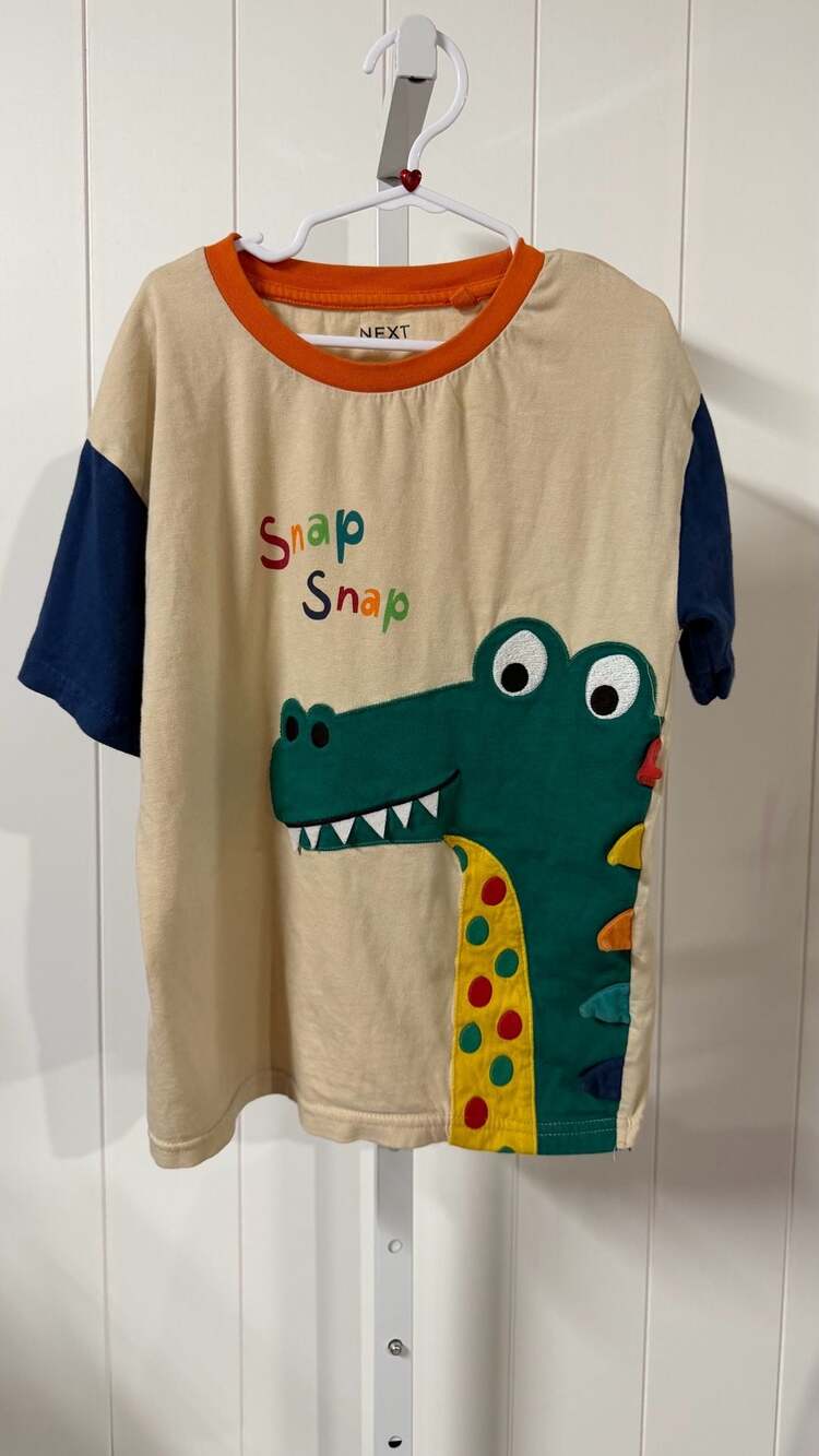 Next Snap Snap Dinosaur Applique Colorblock T-Shirt